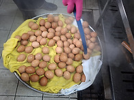 부활 달걀 나눔 행사