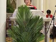 2026년 3월 28일(가해) ..