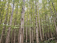 산행/경주남산 경주 남산 ..