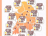 2025년 단풍지도