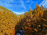 산행/2025산행 대전 장태..