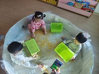 보라둥이들의 이모..