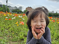 5월3주 활동사진입..