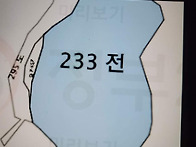 충북단양 농지매매합니다