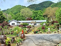1억인하! 한옥의 멋과 현..