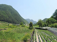 충북 증평읍 남차리 전, 800평 매매가, 2..