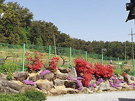 전원주택매매