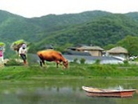 **.경남 고성 싼 땅 매매..