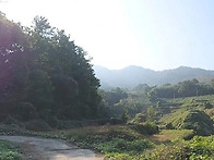 남해군 답 관리지역725평..
