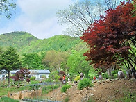 한옥의 멋과 현대 건축이 ..
