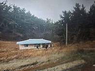 태안 바다뷰 전원주택 급매