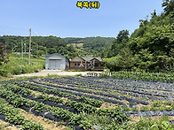 충북 괴산군 청안면 문당리..