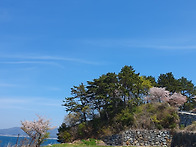 [거제도토지매매] 거제도 오송리 바닷가 접..