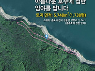 아름다운 충주호에 접한 ..