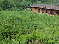 청주시 낭성면 맹지 전, ..
