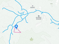 안성시 계획관리3660평 매..