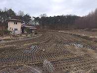 청주시 가덕면 답, 329평..