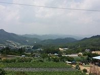 '와' 탄성소리 나오는 매..
