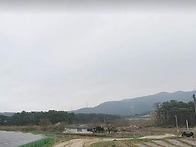 홍천 남면 시세 반값 토지..