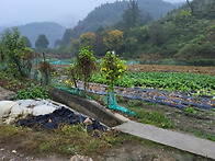 충주시 수안보면 전철역인근 전452평 평당..