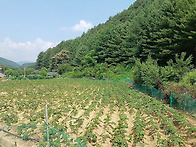 캠핑장·전원카페 다 된다..