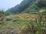 충주시 수안보면 산밑에 남향땅 전746평 ..