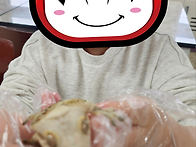 도마뱀&#129422;