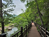 월류봉 둘레길 - 2 -