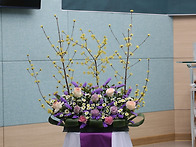 3월8일 사순절 셋째주일 ..