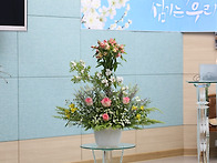 5월25일 부활절 여섯째 주..