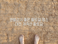 10월4일/제312차 특별 정..