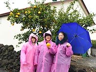 제주여행 20240225