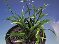 산반(신안대회 최우수상)..