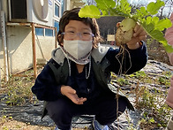 &#127793; 텃밭활동 &#127793;