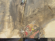 120호 고들빼기들판 오늘도..