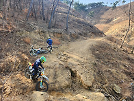 셀피 드론 시험 주행 라이..