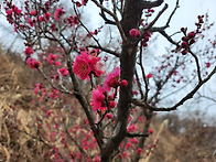 삼일절 드론과 함께 2일차..