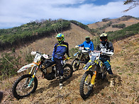 20260405 식목일 봄날 새..