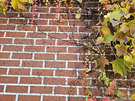 행복하게 여행하는 방법