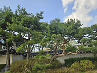 긴하루