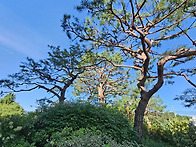 산정호수