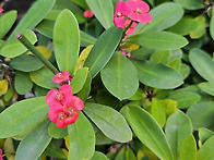 빌 게이츠의 명언