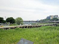 서울숲 (2026. 5. 19)
