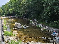 관악산 무장애숲길 (202..