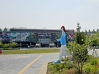 서울대공원 (35 매화산악회..