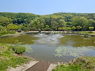 군포철쭉동산 & 초막골생태..