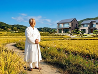 처서 바람이 불어오면
