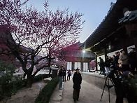 26,2이런저런