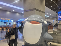폰사진