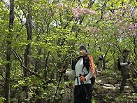 필봉 외